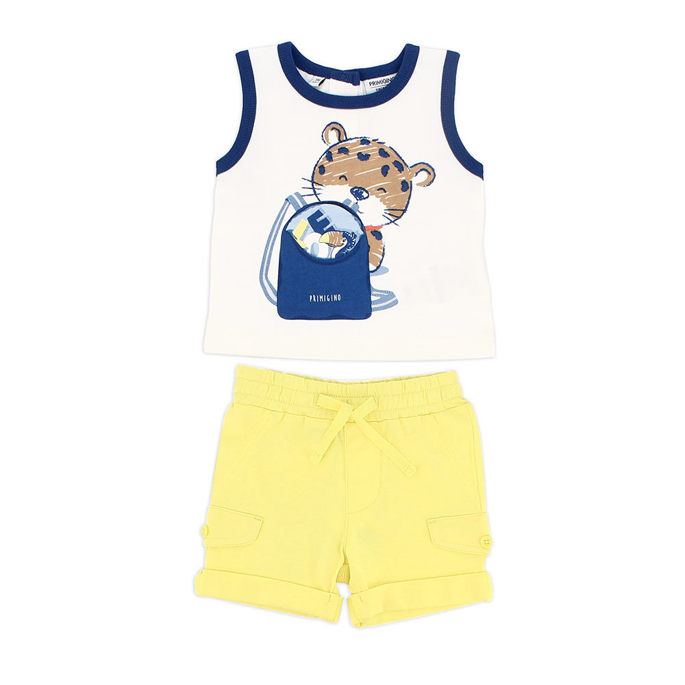 Souprava