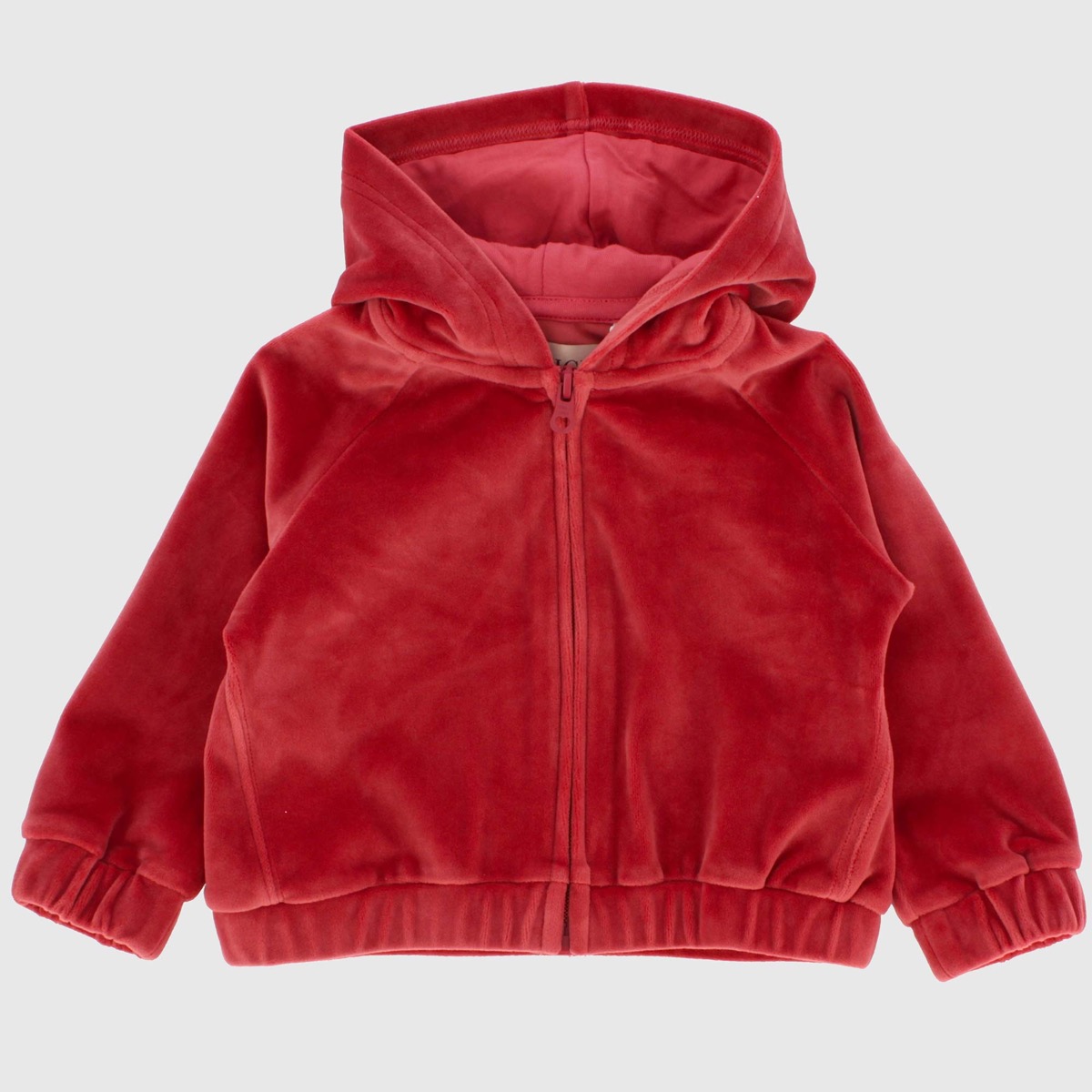 Mikina